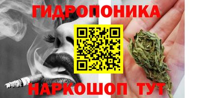 mdma Аргун